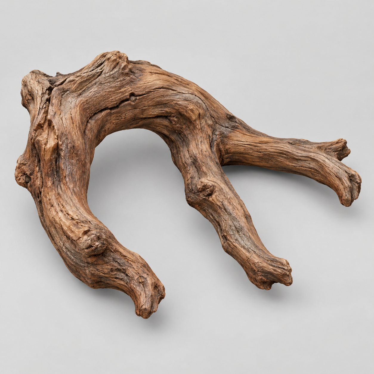 Tripo 3D driftwood root specimen